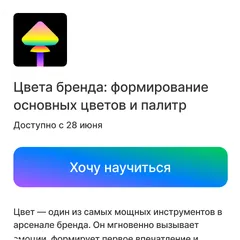 Приложение на iOS и Android